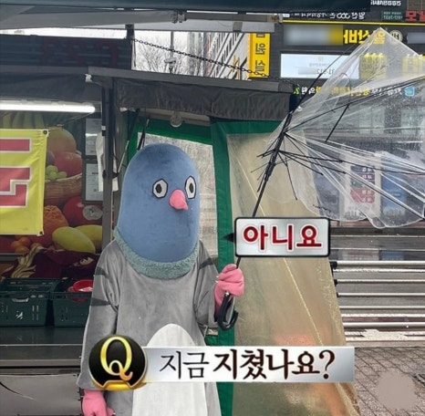 미술 후기 사진
