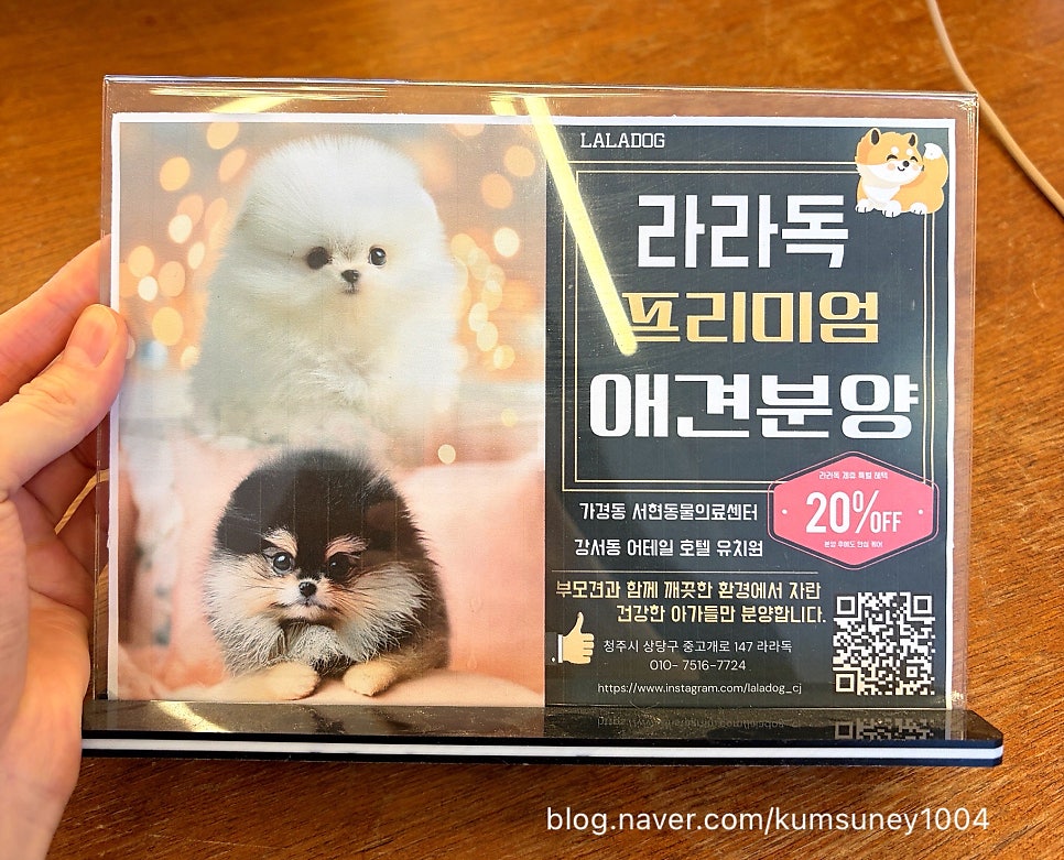 청주 어테일 애견카페, 호텔·유치원·목욕까지 원스톱 — 사진 8