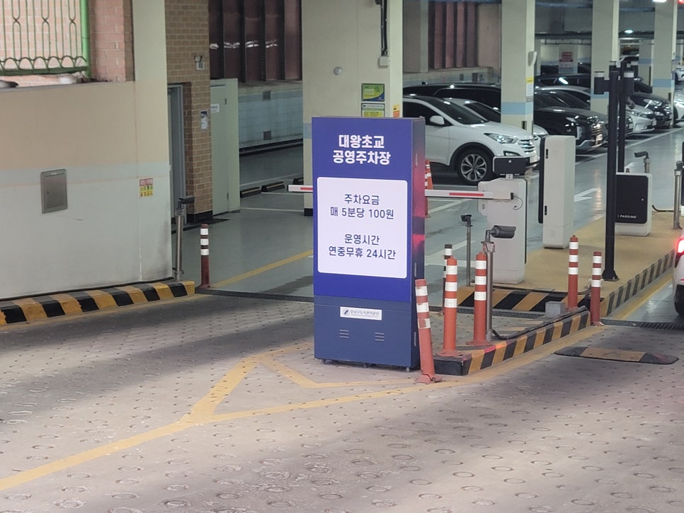 초원식당 사진 6