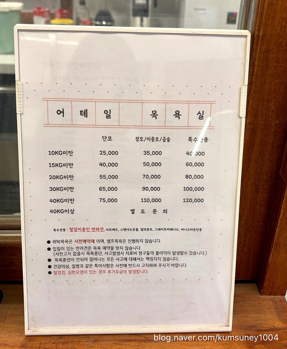 청주 어테일 애견카페, 호텔·유치원·목욕까지 원스톱 — 사진 3