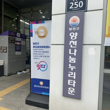 브로콜리 지역정보 관련 사진 4