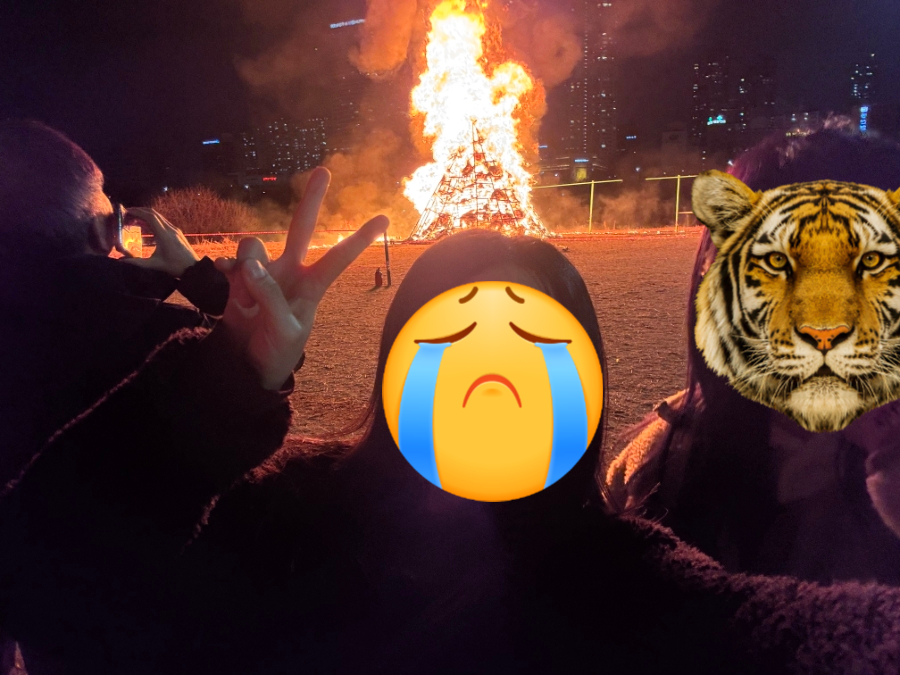 피자스쿨 양평점 사진 5