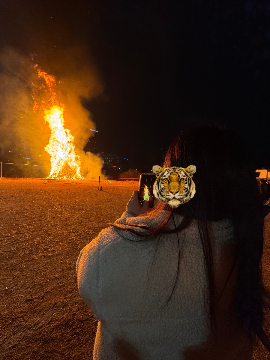 피자스쿨 양평점 사진 7