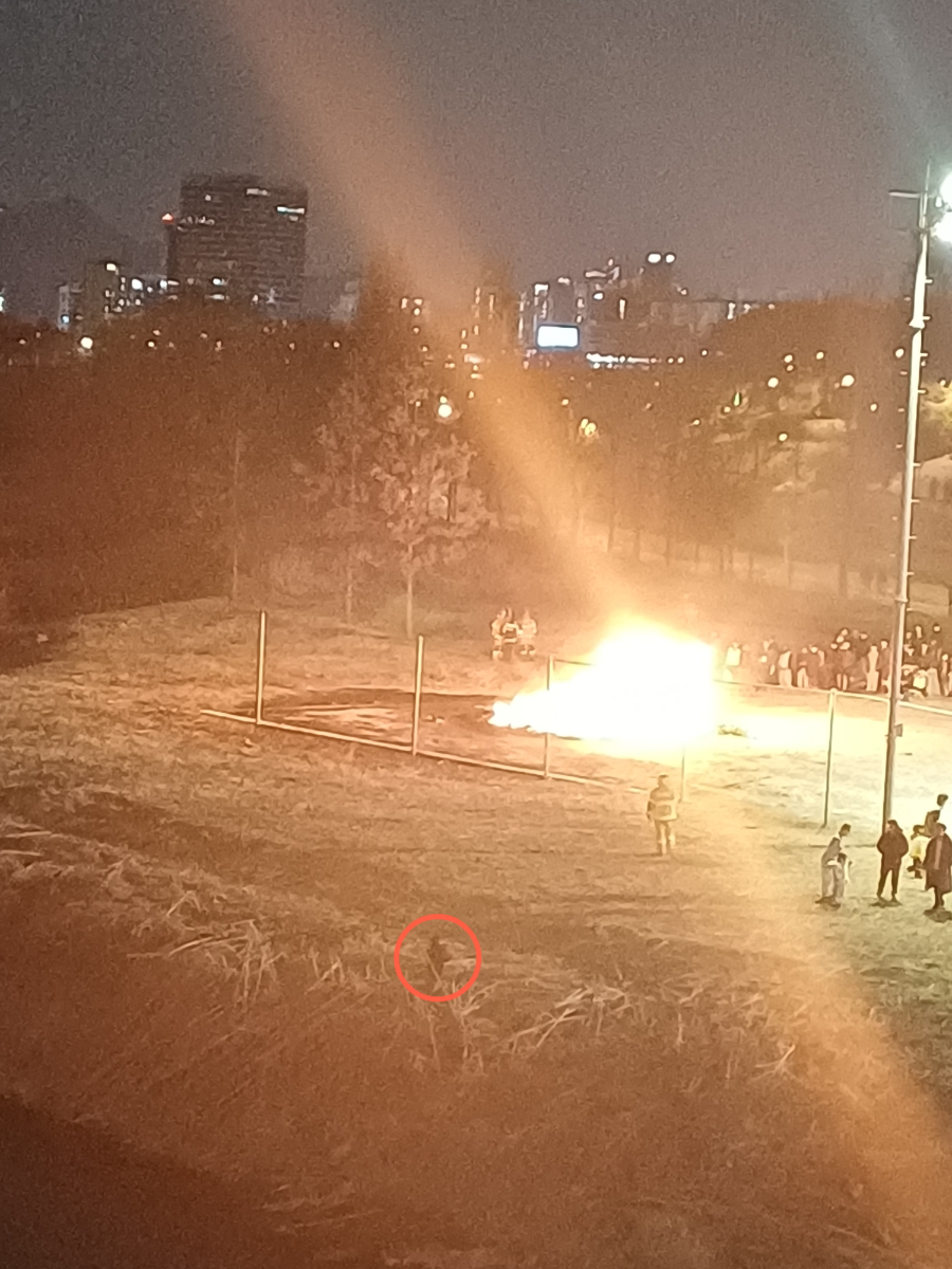 피자스쿨 양평점 사진 6