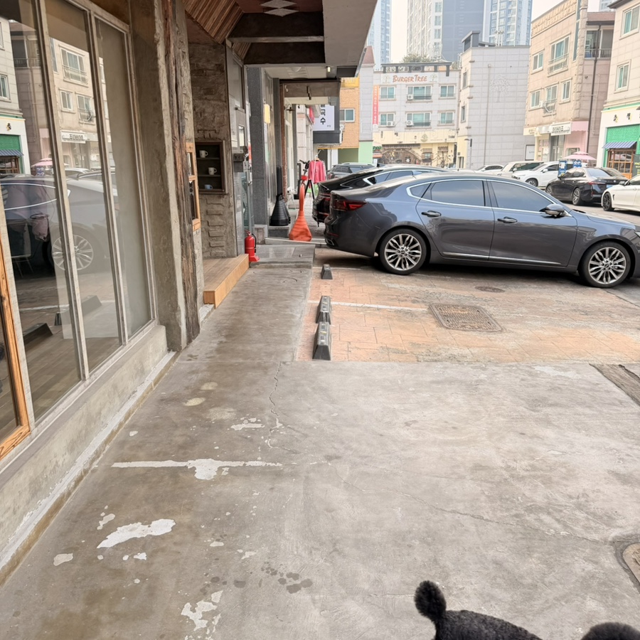 동탄 애견 동반 카페 온클라우드나인, 테라스에서 힐링 — 사진 2