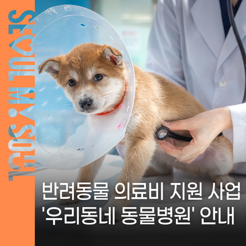 브로콜리 지역정보 관련 사진 1