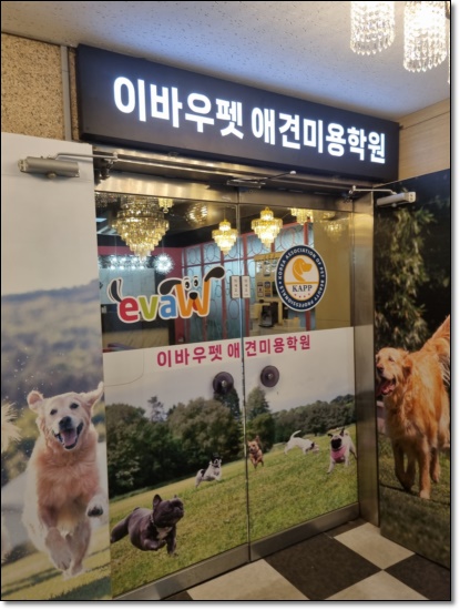 대구 강아지미용학원, 수강료 지원받고 전문가 되기 — 사진 7