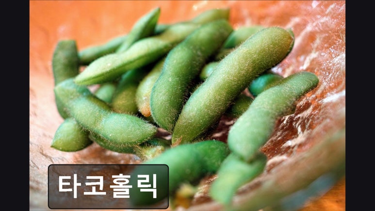 타코홀릭 사진 4