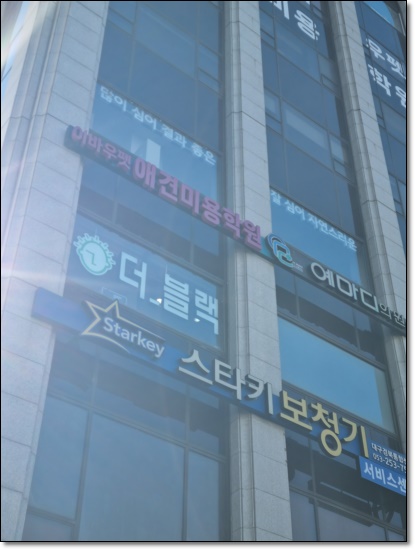 대구 강아지미용학원, 수강료 지원받고 전문가 되기 — 사진 6