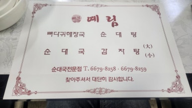 예림 사진 6