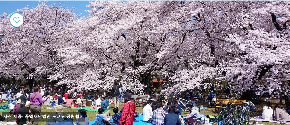Koganei Park