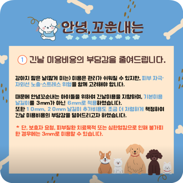 부산 애견미용 '안녕, 꼬순내' 창업 후기 및 위치 안내 — 사진 4