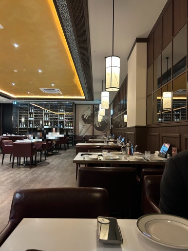 놉스 광화문점 사진 8
