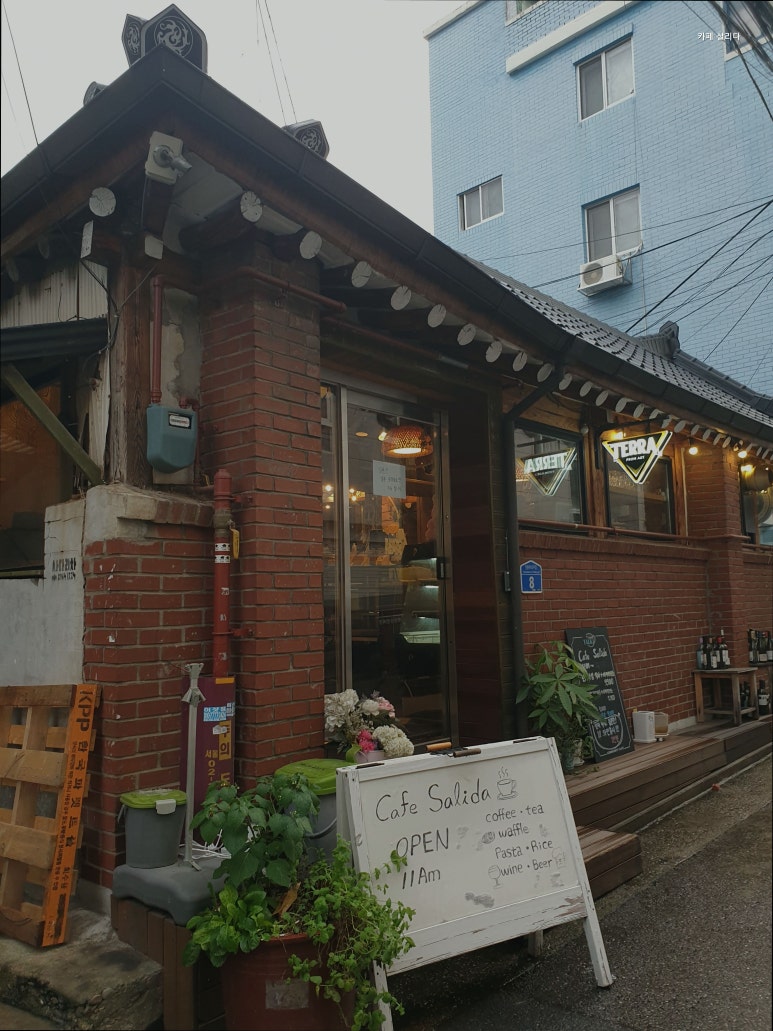 살리다 사진 8