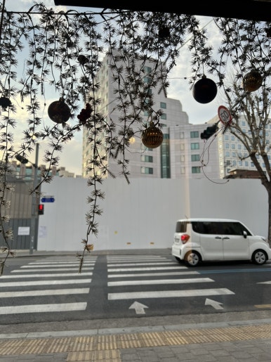 라이 사진 5
