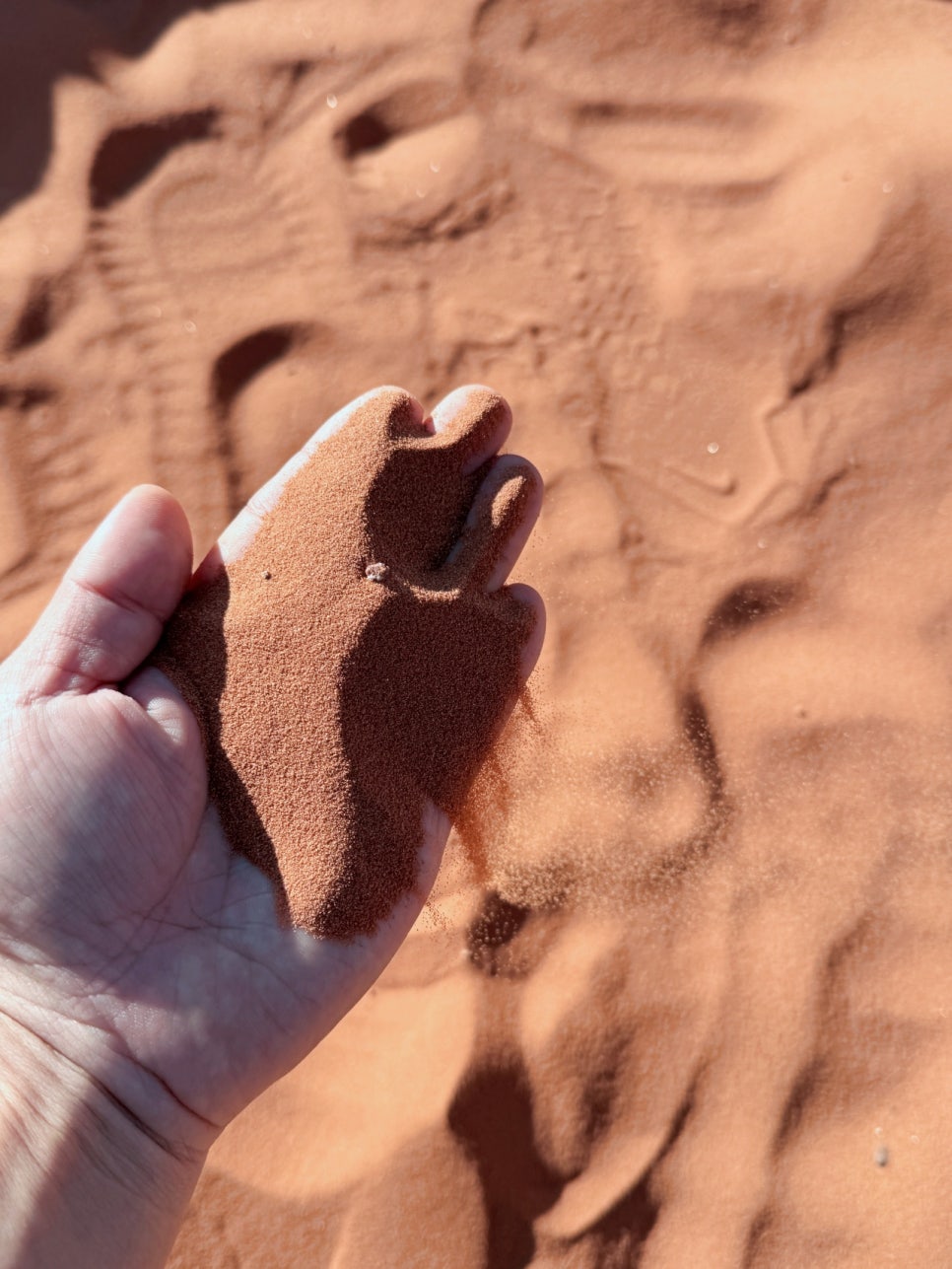 Wadi Rum Desert