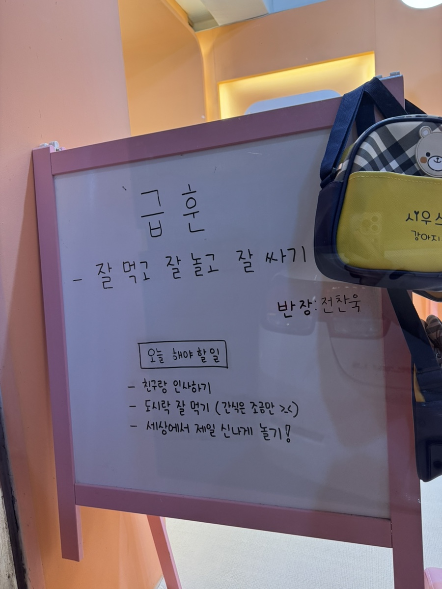 일산 애견유치원 시우스쿨링, 행복한 하루 경험 후기 — 사진 4