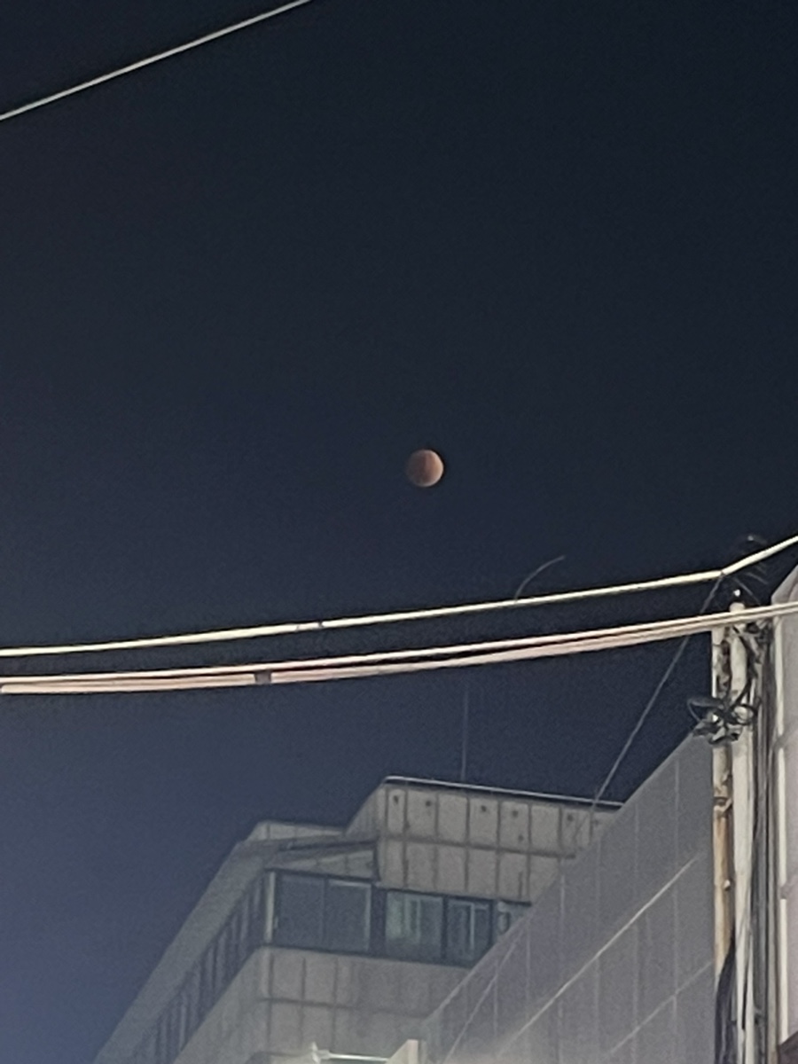 이찌방이야기 대표 사진