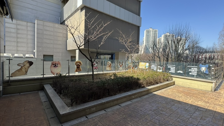 송파 개님살롱 애견유치원, 6시간 이용 후기 — 사진 4