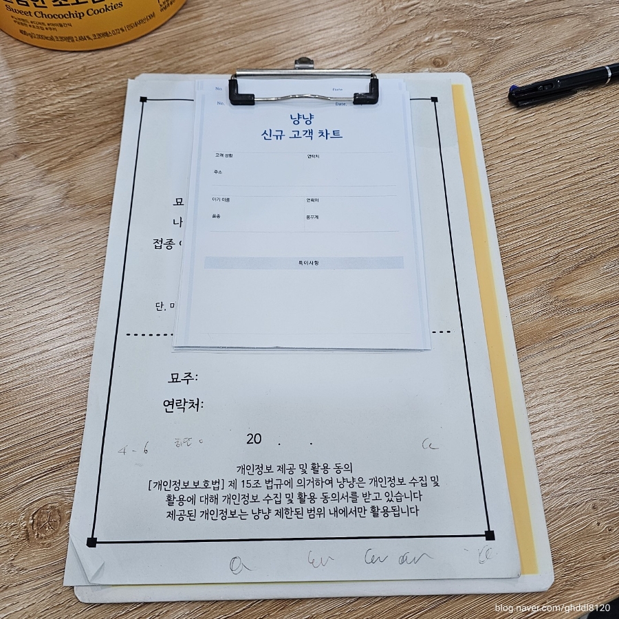 인천 부평 고양이 위생 미용 비용 및 후기 — 사진 3