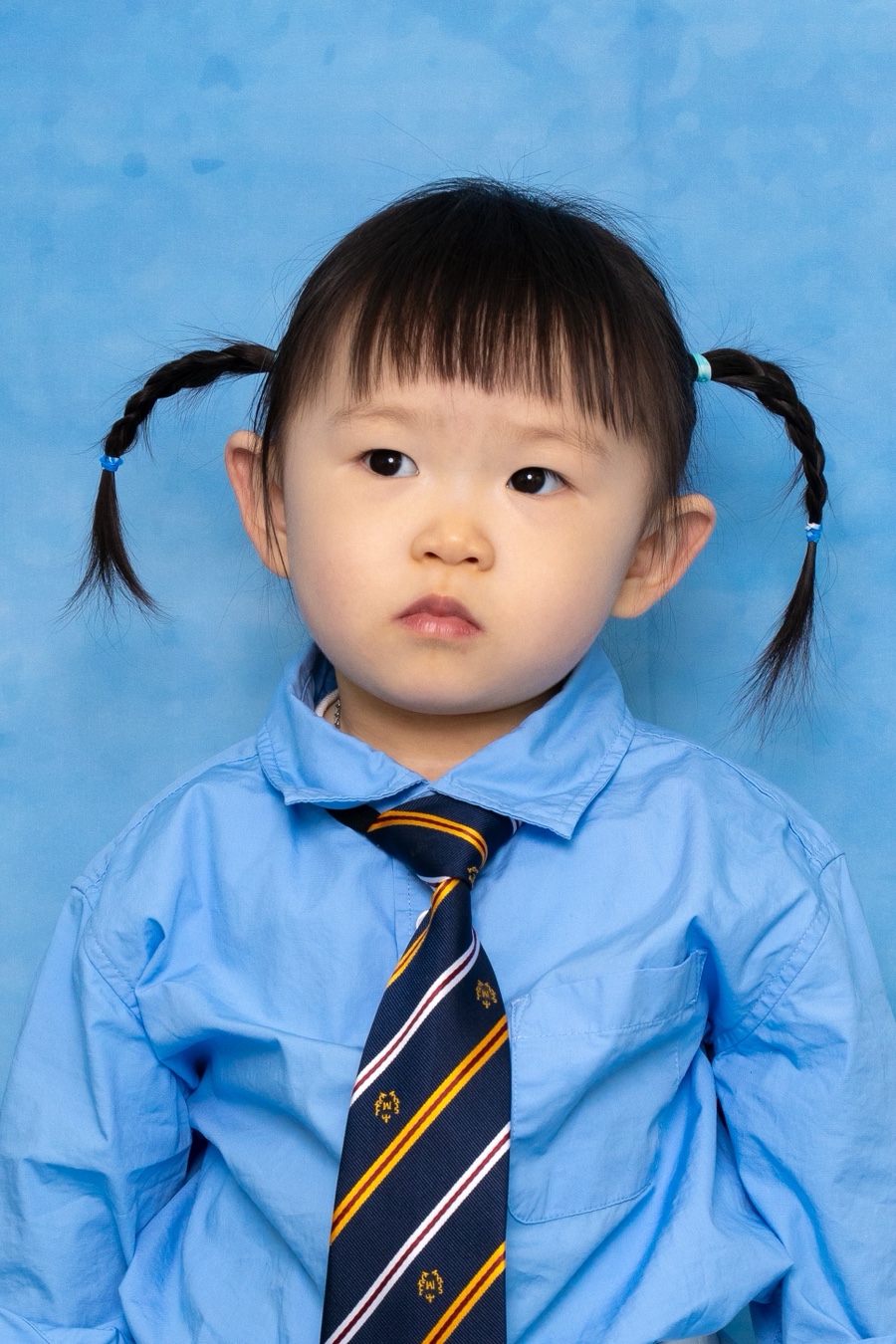 대구 하이틴 컨셉 강아지 촬영 후기, 콩누스튜디오 비용 안내 — 사진 14