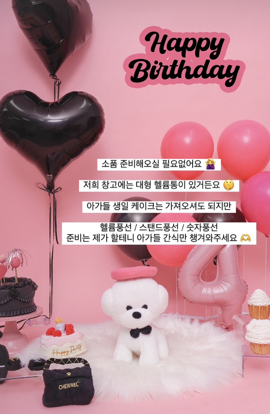 대구 하이틴 컨셉 강아지 촬영 후기, 콩누스튜디오 비용 안내 — 사진 19