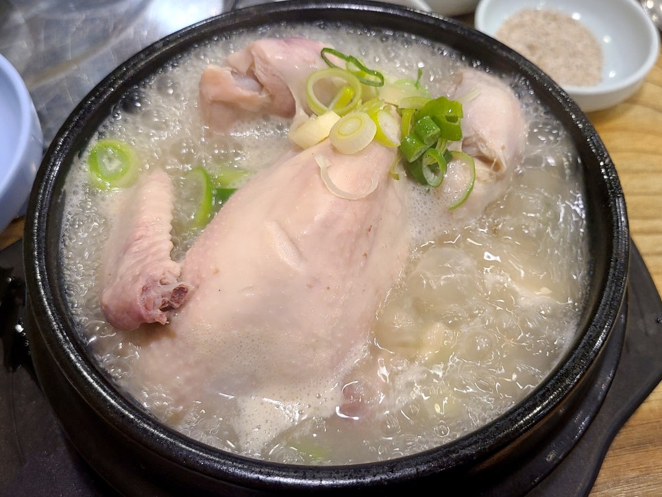 상록수 사진 4