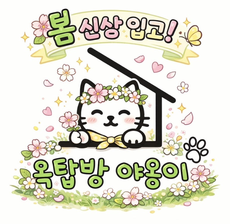 옥탑방야옹이 사진 3
