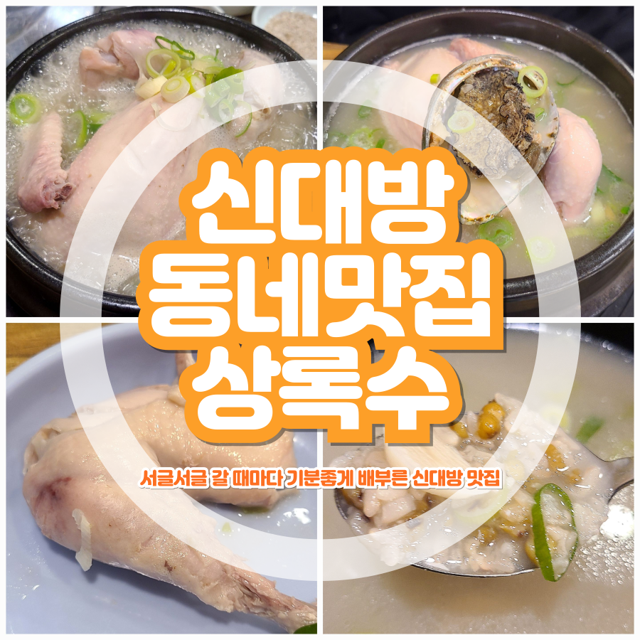 상록수 사진 6