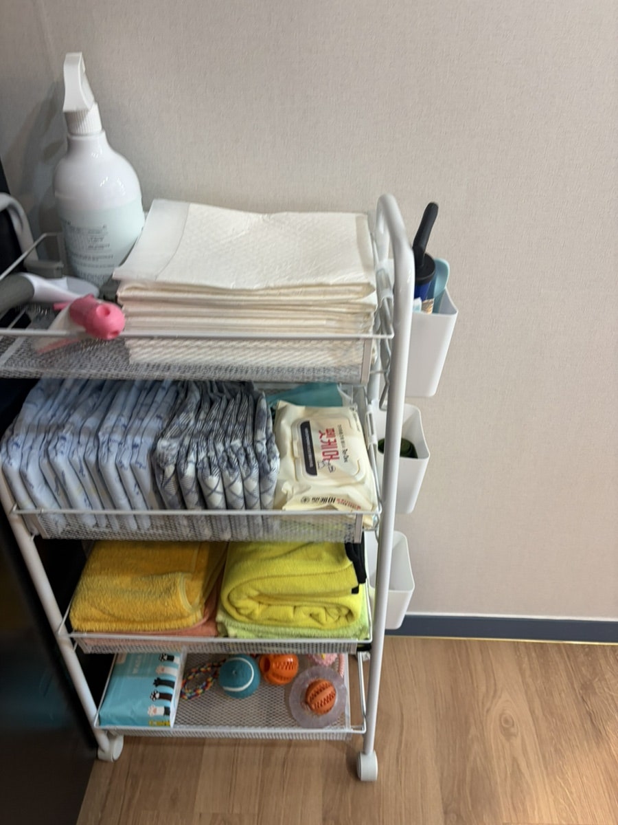 충북 음성 멍그루브 애견 펜션, 독채 프라이빗 후기 — 사진 6