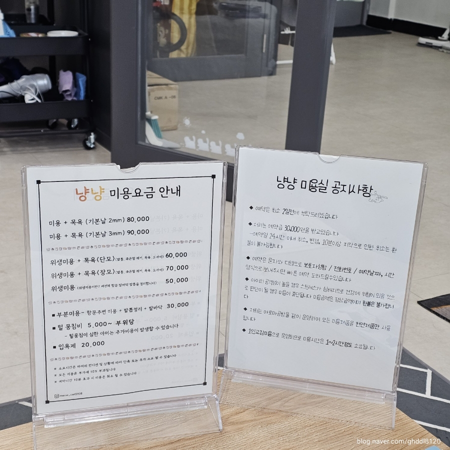 인천 부평 고양이 위생 미용 비용 및 후기 — 사진 4