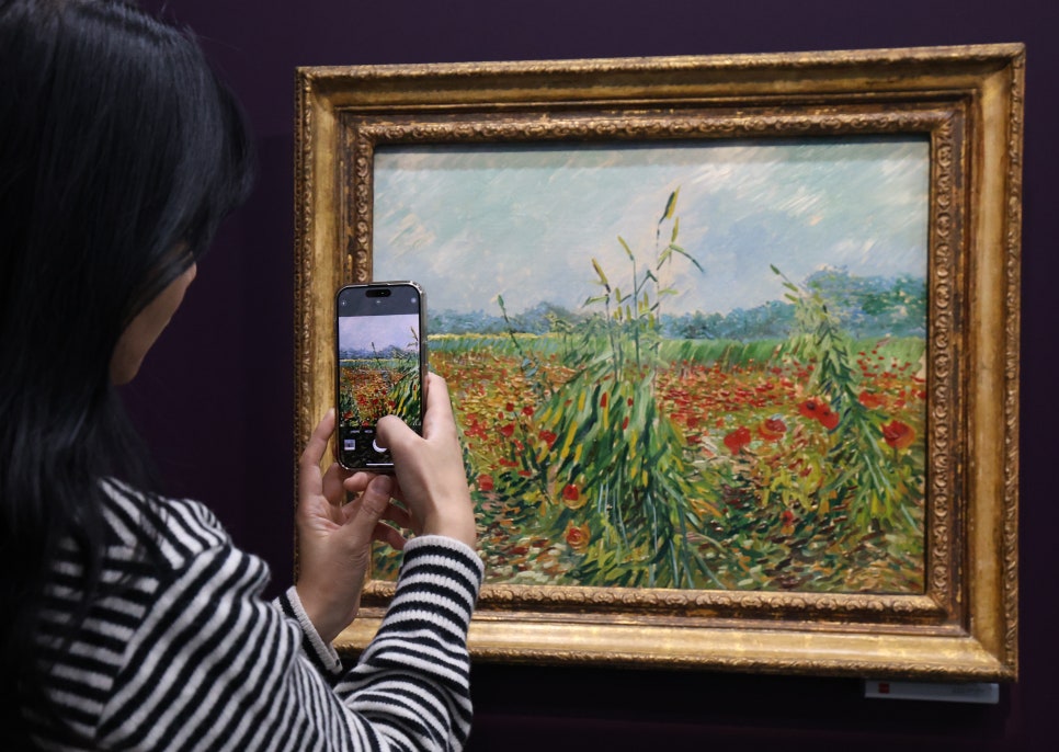 브로콜리 지역정보 관련 사진 2