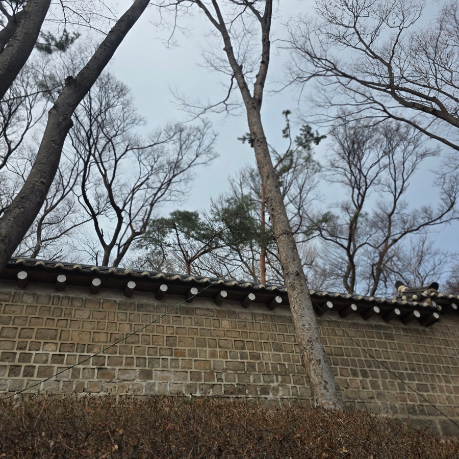 제이스킹커피 창덕궁점 사진 5