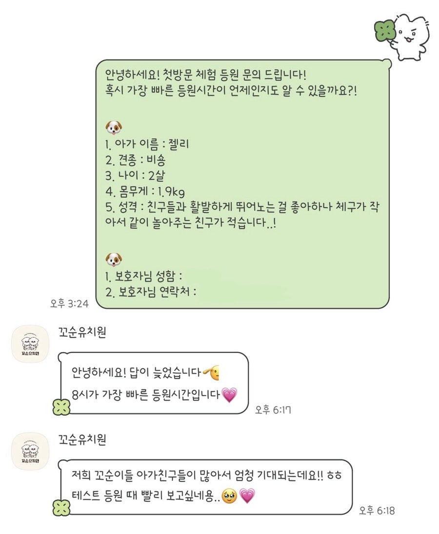 송파 꼬순유치원 솔직 후기: 강아지 사회성 & 놀이 경험 — 사진 3