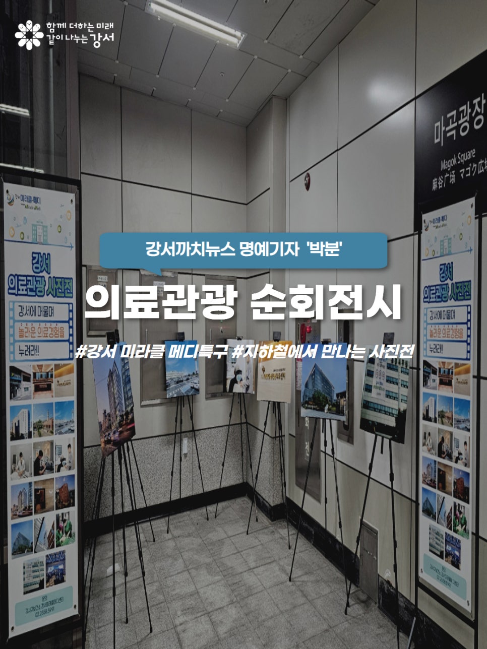 브로콜리 지역정보 관련 사진 1