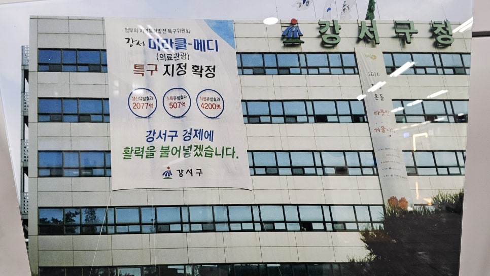 브로콜리 지역정보 관련 사진 3