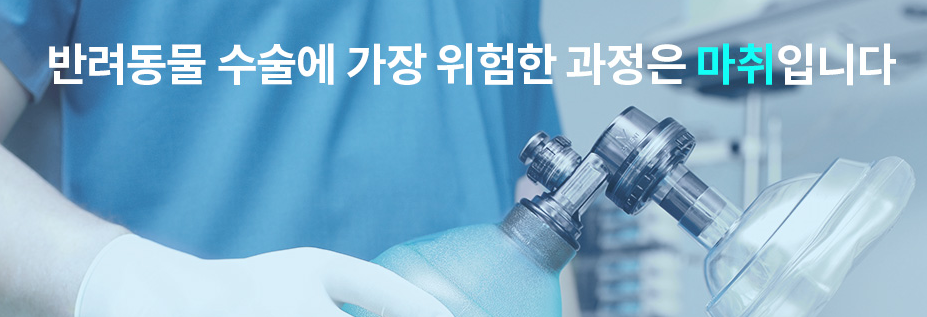 김포 쎈텀 동물병원 강아지 스케일링 비용 및 후기 — 사진 5