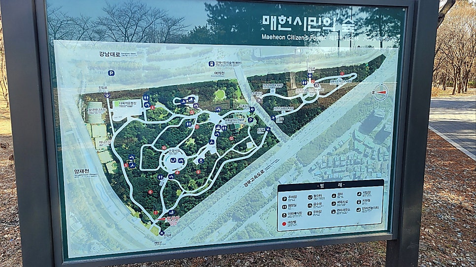 강남 매헌시민의숲 강아지 놀이터 무료 이용 후기