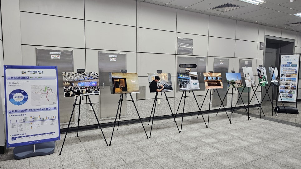 브로콜리 지역정보 관련 사진 4