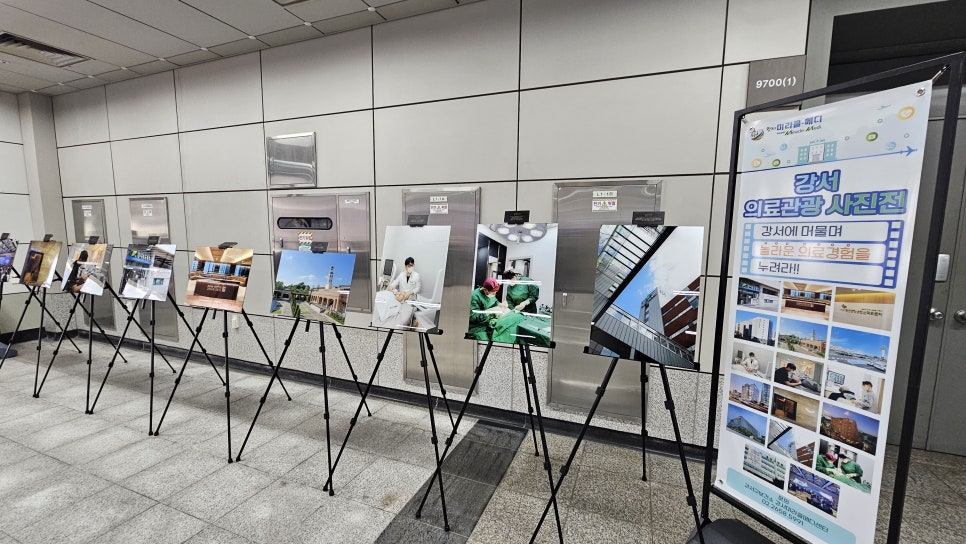 브로콜리 지역정보 관련 사진 6