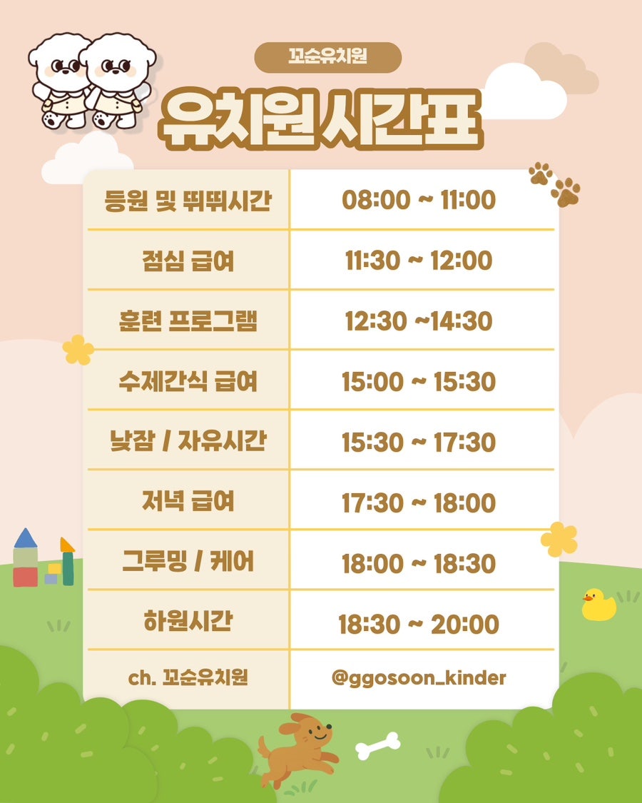 송파 꼬순유치원 솔직 후기: 강아지 사회성 & 놀이 경험 — 사진 7