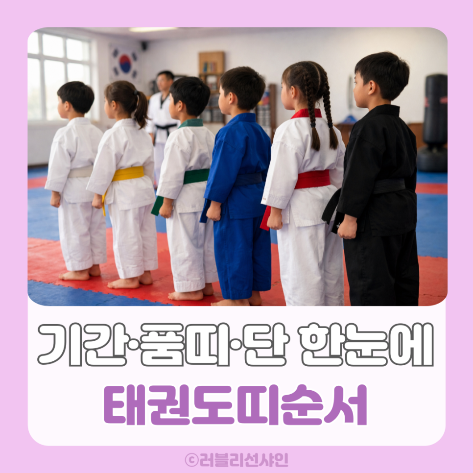 태권도띠순서 총정리, 기간 부터 품띠 단 순서 까지 한눈에 : 네이버 블로그