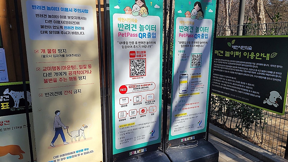 강남 매헌시민의숲 강아지 놀이터 무료 이용 후기 — 사진 5