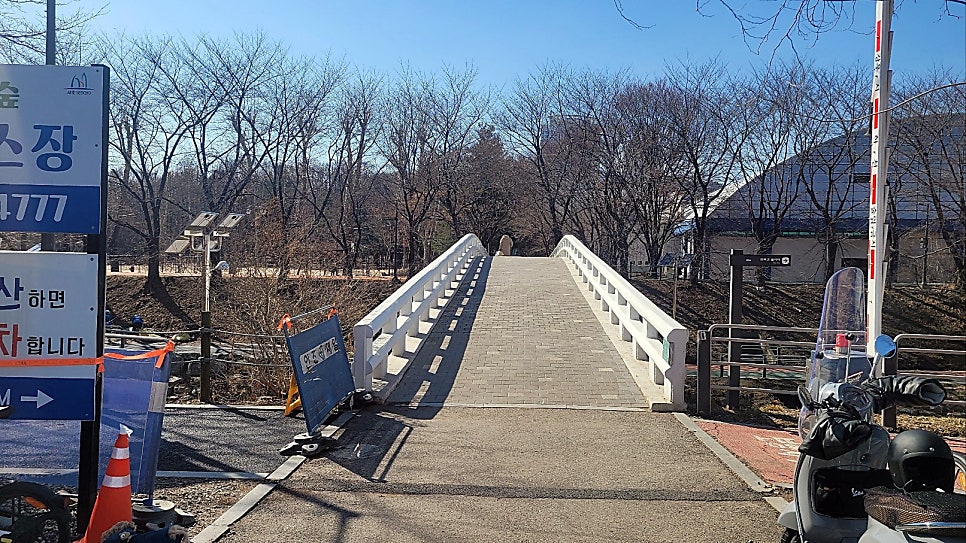 강남 매헌시민의숲 강아지 놀이터 무료 이용 후기 — 사진 2