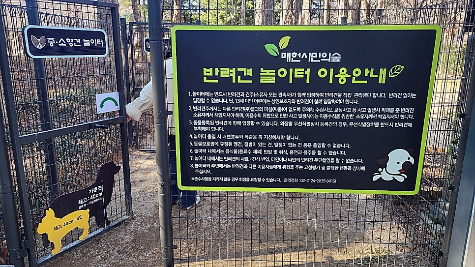 강남 매헌시민의숲 강아지 놀이터 무료 이용 후기 — 사진 4