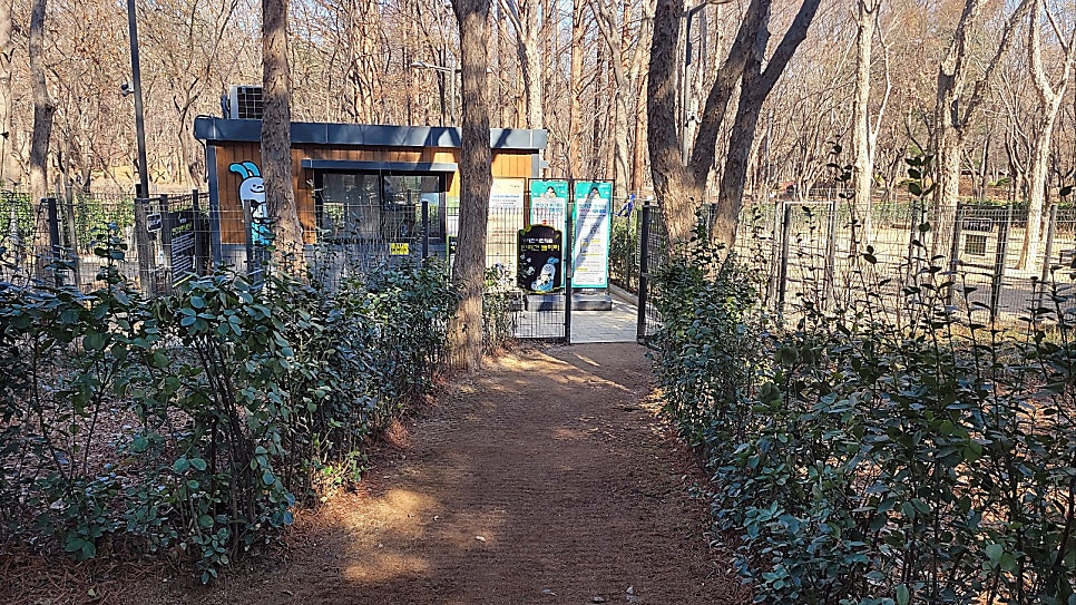 강남 매헌시민의숲 강아지 놀이터 무료 이용 후기 — 사진 6