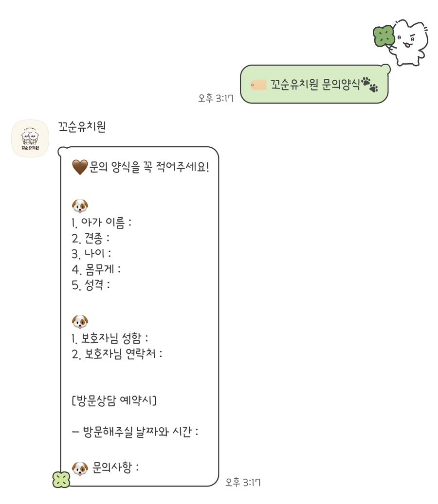 송파 꼬순유치원 솔직 후기: 강아지 사회성 & 놀이 경험 — 사진 2