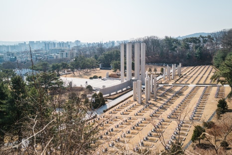 브로콜리 지역정보 관련 사진 9