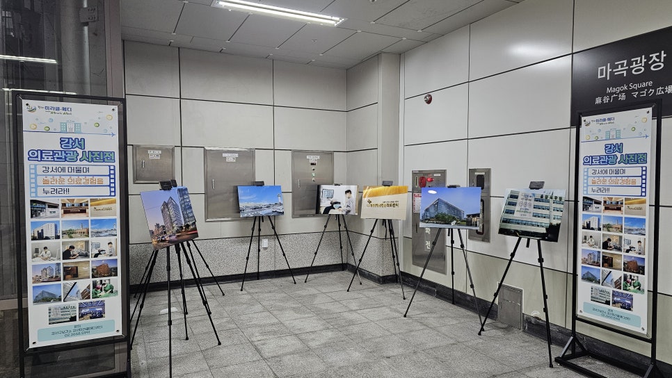 브로콜리 지역정보 관련 사진 2