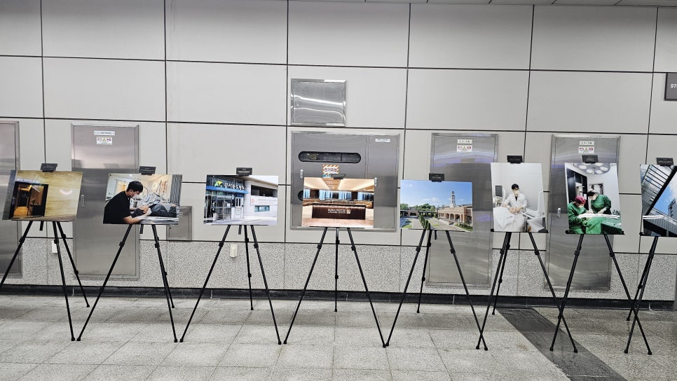 브로콜리 지역정보 관련 사진 5